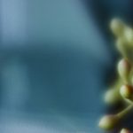 深入探讨澳门AG真人游戏的玩法与策略技巧 3ku2k1l75x