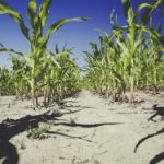 Vinbet博彩指南:如何在平台上获得最佳收益 5yoxrq