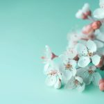 深入探索澳门贵宾厅线路的独特魅力与体验 g7vt5710f