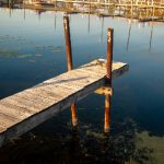 万博体育:探索全球体育赛事的最佳平台与体验 m2y1cld80